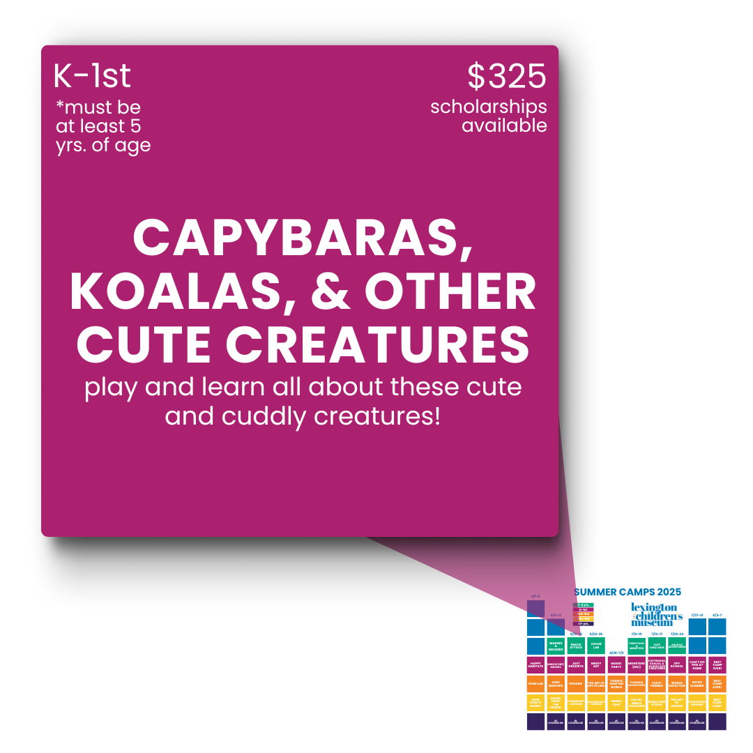 July 13 - 17: capybaras, koalas, & other cute creatures (K-1) - logo